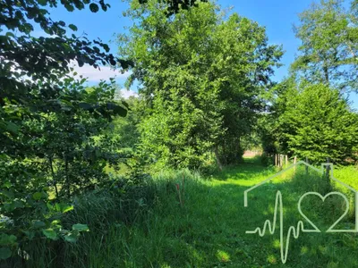 Grundstück kaufen in Oberwart – 11 000 m² – Bild 10 von 12