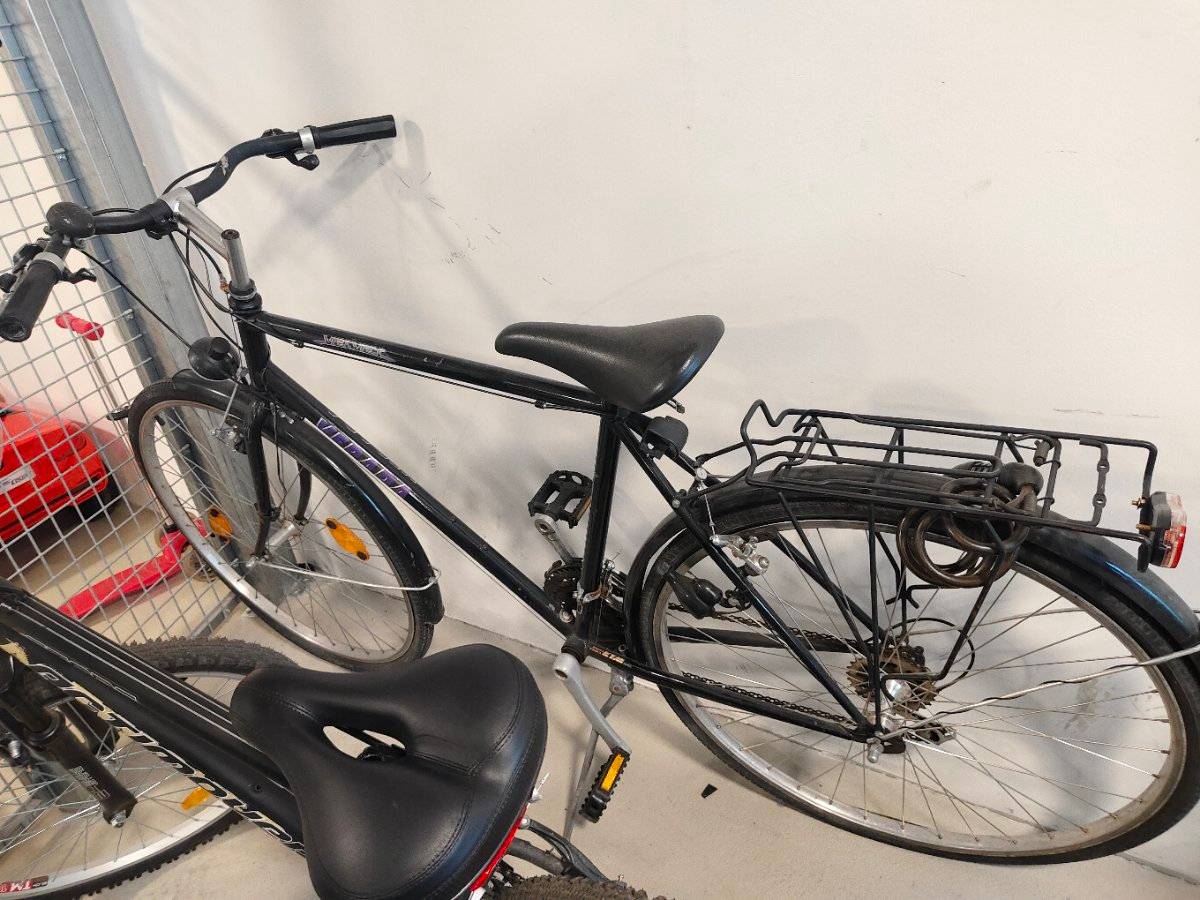 Fahrrad 28 Zoll kaufen - willhaben