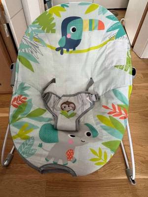 Bright Starts Babywippe kaufen - willhaben