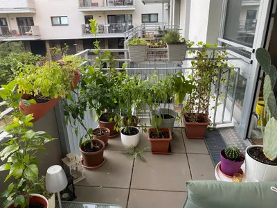 2-Zimmer-Wohnung mieten in Wien – 63 m², € 1.290 – Bild 19 von 19