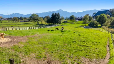 Grundstück kaufen in Villach Land – 4 352 m², € 320.000 – Bild 4 von 8