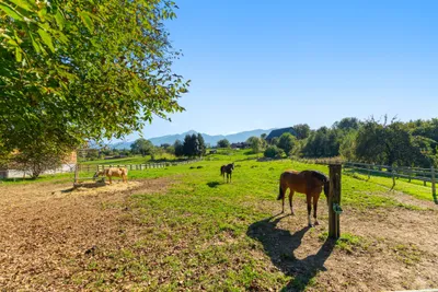 Grundstück kaufen in Villach Land – 4 352 m², € 320.000 – Bild 7 von 8