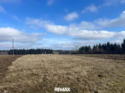 Grundstück kaufen in Güssing – 1 309 m², € 27.000 – Bild 3 von 5