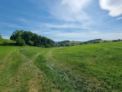 Immobilie kaufen in Melk – 82 000 m² – Bild 3 von 4
