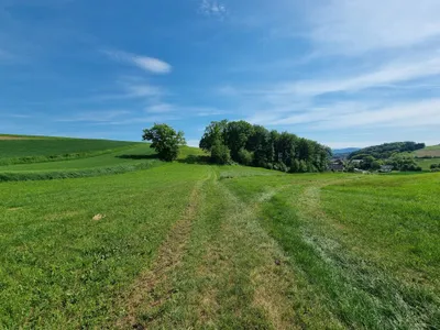 Immobilie kaufen in Melk – 82 000 m² – Bild 4 von 4