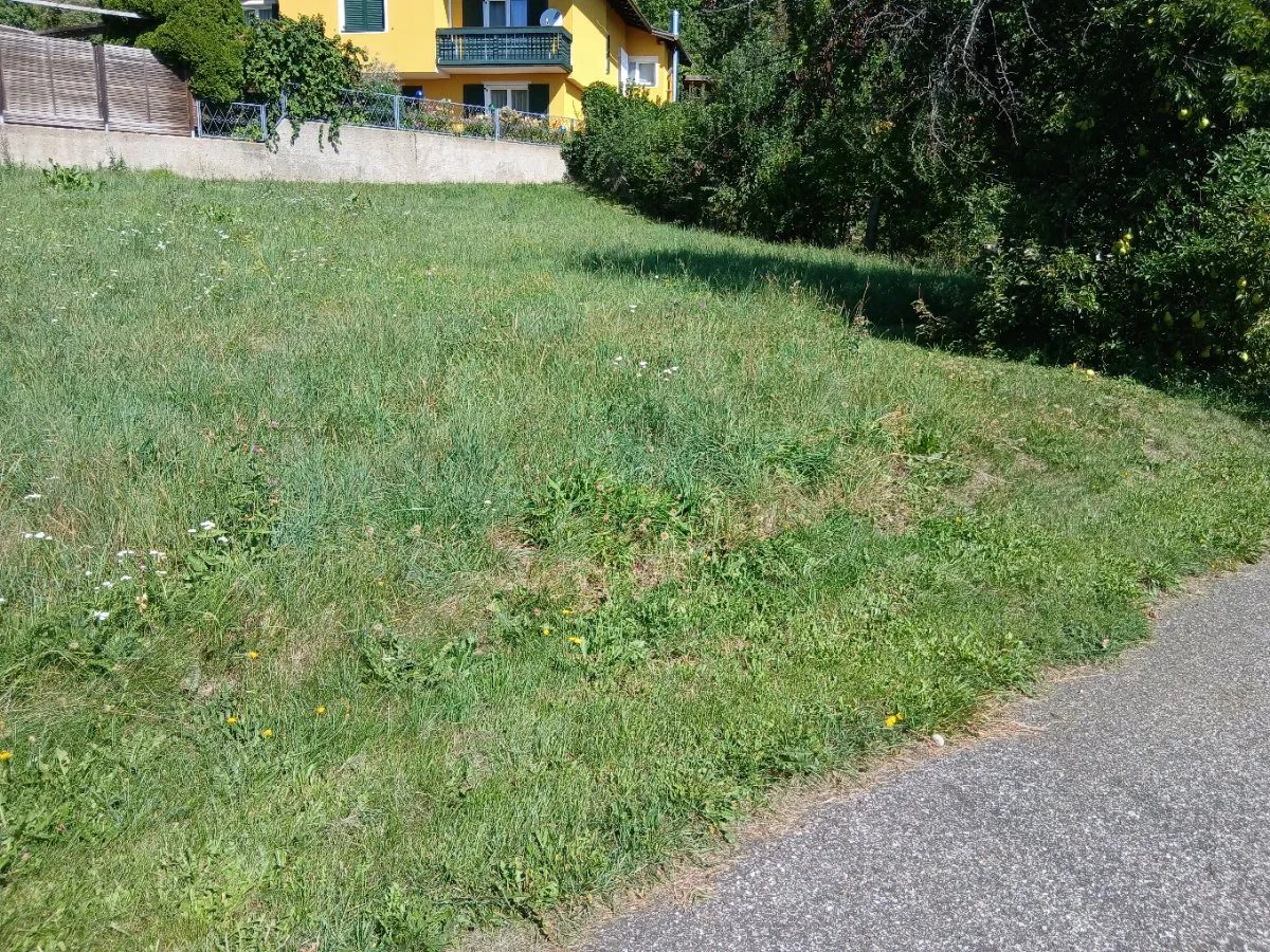 Sonniges Baugrundstück - Ansicht 2