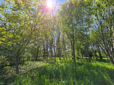 Grundstück kaufen in Bruck an der Leitha – 3 318 m², € 1.750.000 – Bild 3 von 6