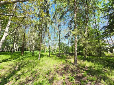 Grundstück kaufen in Bruck an der Leitha – 3 318 m², € 1.750.000 – Bild 5 von 6