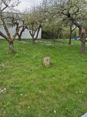 5-Zimmer-Haus kaufen in Südoststeiermark – 150 m², € 220.000 – Bild 20 von 52