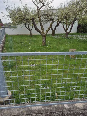 5-Zimmer-Haus kaufen in Südoststeiermark – 150 m², € 220.000 – Bild 21 von 52