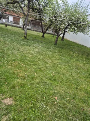 5-Zimmer-Haus kaufen in Südoststeiermark – 150 m², € 220.000 – Bild 12 von 52