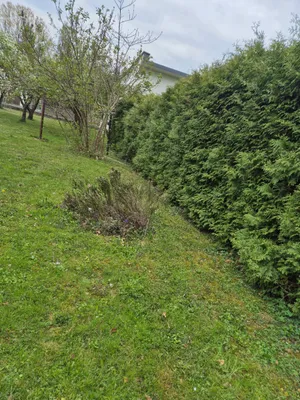 5-Zimmer-Haus kaufen in Südoststeiermark – 150 m², € 220.000 – Bild 15 von 52