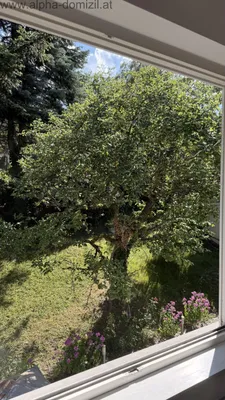 5-Zimmer-Haus mieten in Sankt Pölten Land – 240 m², € 2.100 – Bild 2 von 18