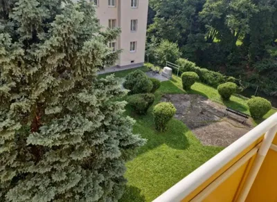2-Zimmer-Wohnung mieten in Baden – 58 m², € 900 – Bild 13 von 15