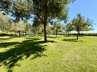 Immobilie kaufen in Schärding – 120 000 m² – Bild 12 von 19