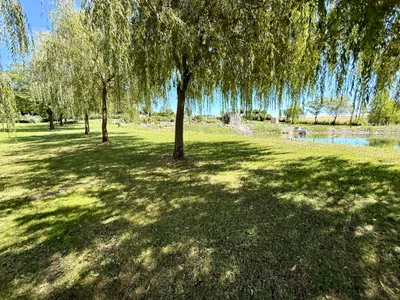 Immobilie kaufen in Schärding – 120 000 m² – Bild 13 von 19