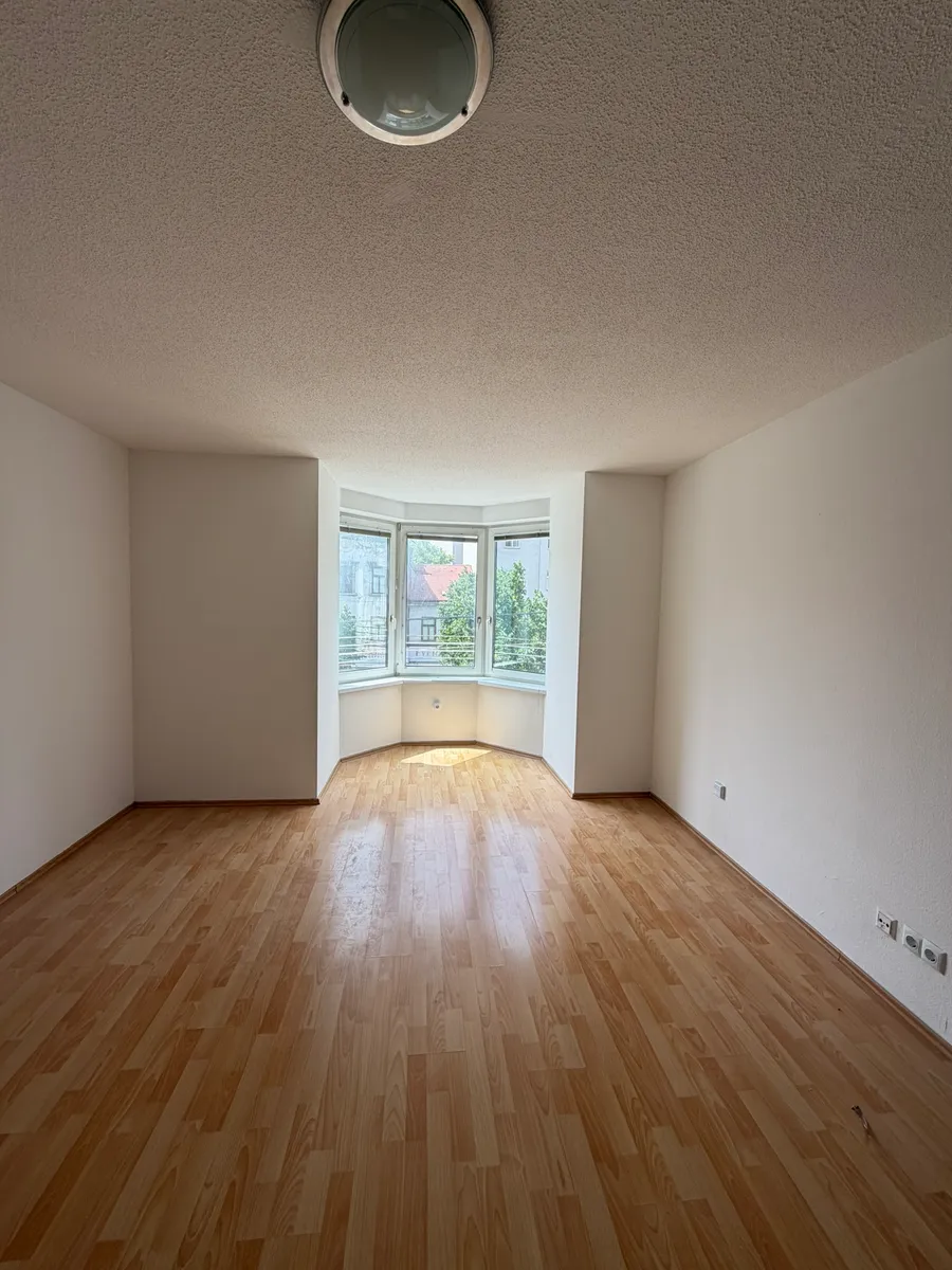 Helle 1-Zimmer-Wohnung mit perfekter Anbindung an Uni Wien/ MedUni Wien - Bright & Newly Renovated Apartment with Excellent Access to Uni Vienna & MedUni Vienna, Wien