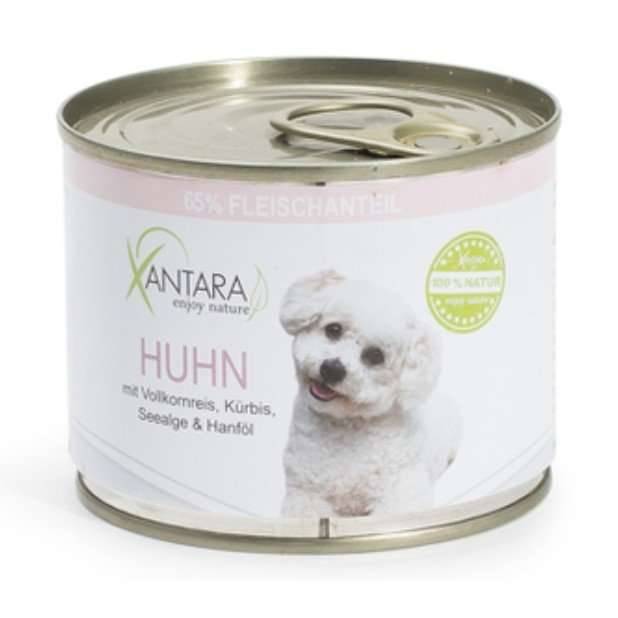 halsband vibration Hundetraining Halsband – 8 Stufen Empfindlichkeit Vibration Schockmodu