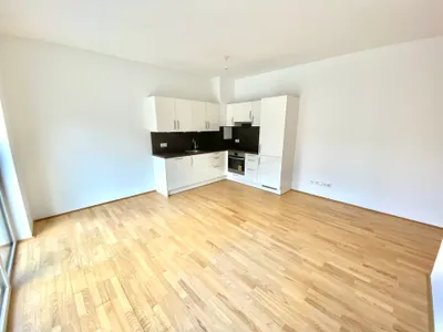 16 m² Terrasse: 2 Zimmer Wohnung in absoluter Ruhelage nahe Strebersdorf in 1210 Wien zu mieten – Bild 2