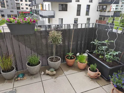 2-Zimmer-Wohnung mieten in Wien – 60 m², € 1.194 – Bild 18 von 20