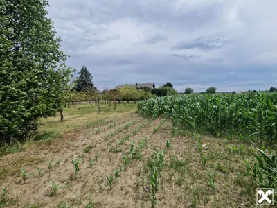 Grundstück kaufen in Tulln – 703 m², € 140.600 – Bild 3 von 5