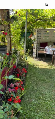 Immobilie kaufen in Korneuburg – 38 m², € 70.000 – Bild 10 von 12