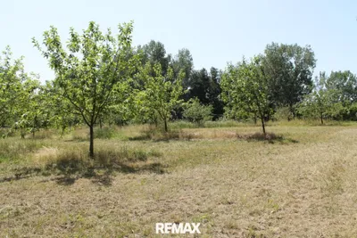 Immobilie kaufen in Korneuburg – 5 023 m², € 199.000 – Bild 3 von 7