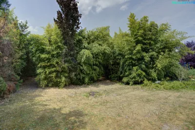 4-Zimmer-Haus kaufen in Korneuburg – 117,79 m², € 1.095.000 – Bild 2 von 14