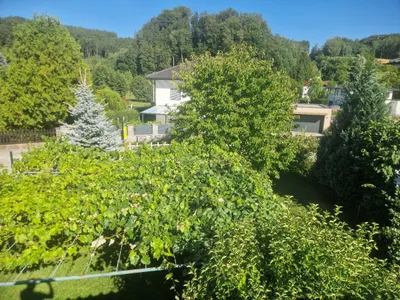 3-Zimmer-Haus kaufen in Wels-Land – 72 m², € 220.000 – Bild 39 von 49