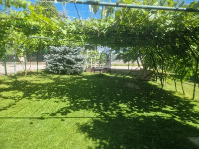 3-Zimmer-Haus kaufen in Wels-Land – 72 m², € 220.000 – Bild 47 von 49