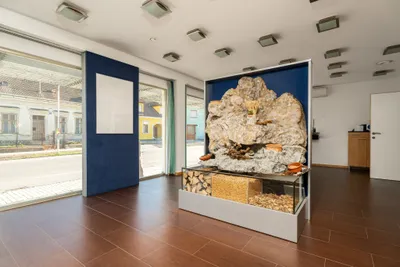 Immobilie kaufen in Mistelbach – 139,4 m², € 299.000 – Bild 7 von 36