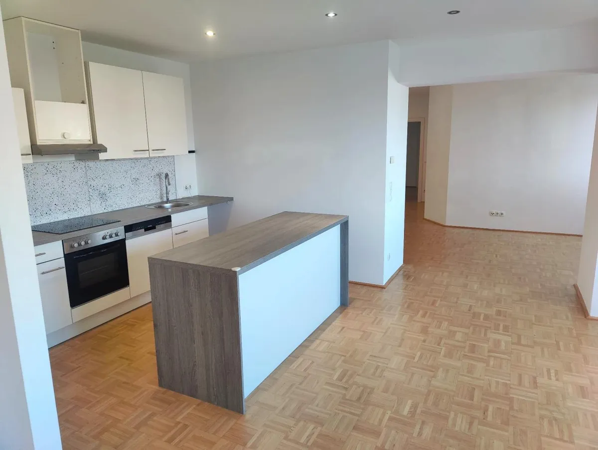 Lichtdurchfluteter Wohntraum mit 4,5 Zimmer - Absolute Ruhelage in Linz – pohled 2