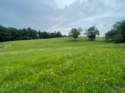 7-Zimmer-Haus kaufen in Schärding – 225 m², € 300.000 – Bild 24 von 25