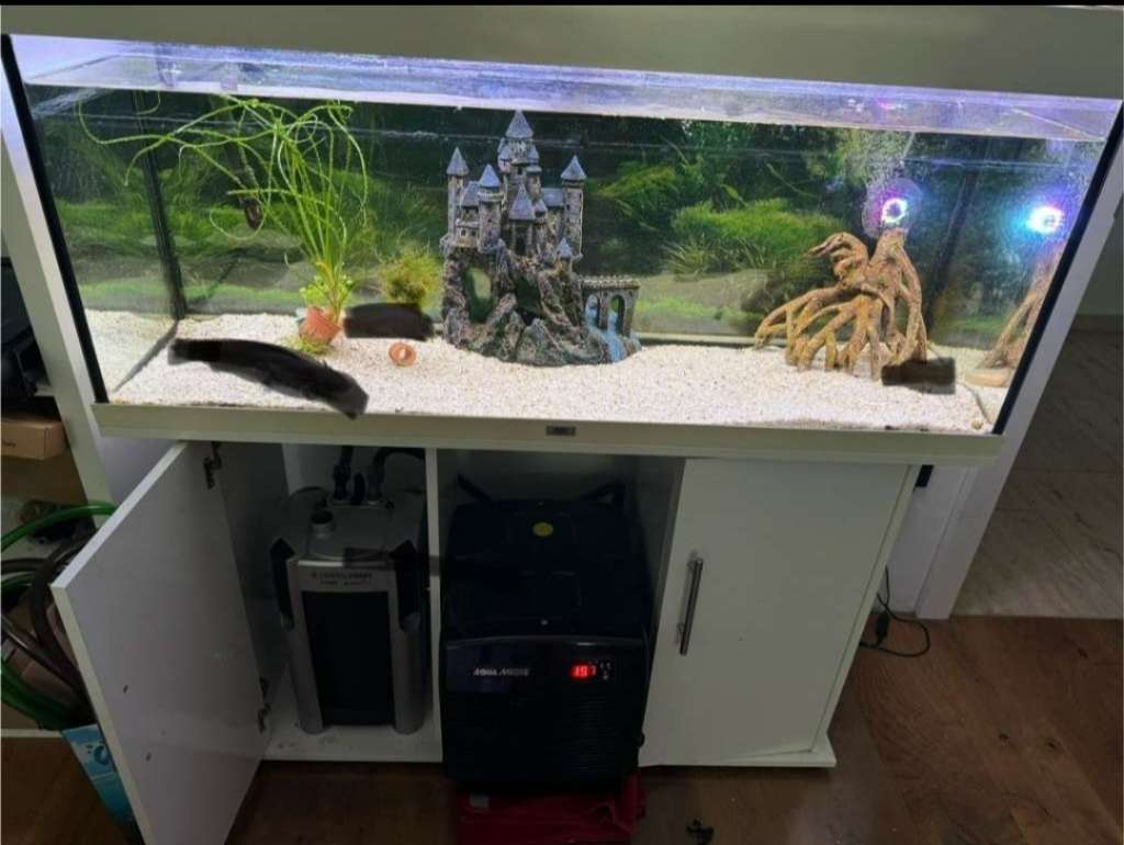 Aquarium 240L online komplett+Unterschrank