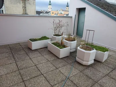 5-Zimmer-Wohnung mieten in Sankt Pölten – 160 m², € 1.820 – Bild 3 von 26