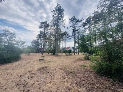 Grundstück kaufen in Gänserndorf – € 230.000