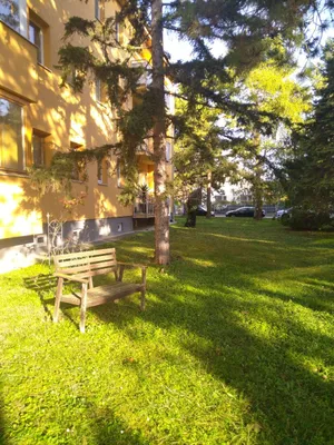 2-Zimmer-Wohnung mieten in Mödling – 50 m², € 550 – Bild 7 von 8