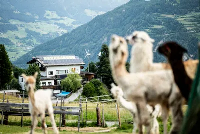 12-Zimmer-Immobilie kaufen in Landeck – 600 m², € 1.790.000 – Bild 3 von 46