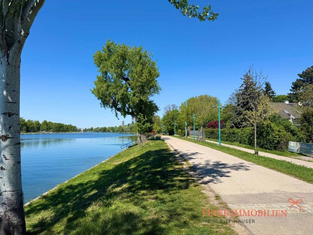 Erste Reihe Alte Donau - 806 m² am Wasser - Ansicht 2