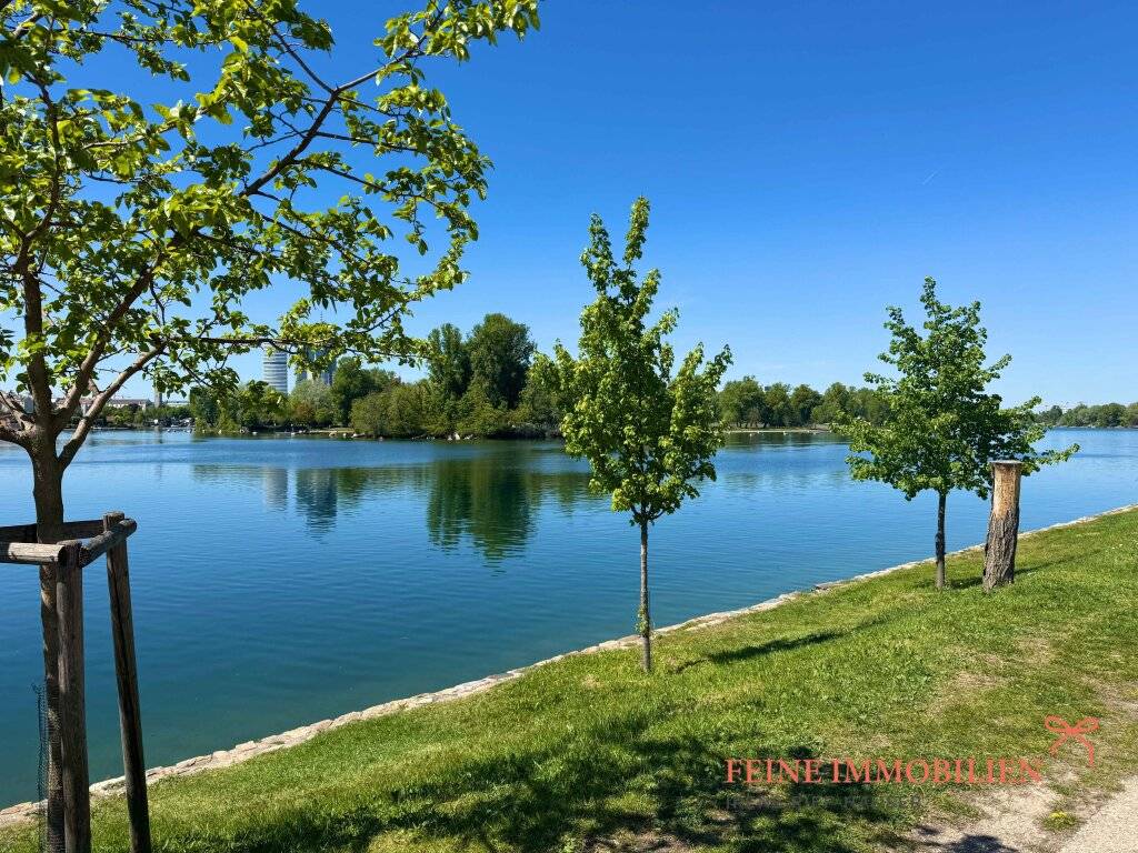 Erste Reihe Alte Donau - 806 m² am Wasser - Ansicht 3