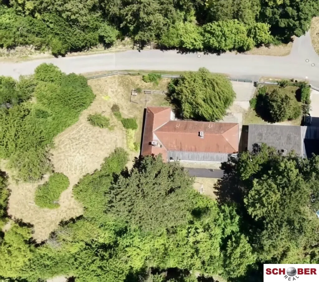 2.061 m² Traumgrund neben dem Wald - Ansicht 3