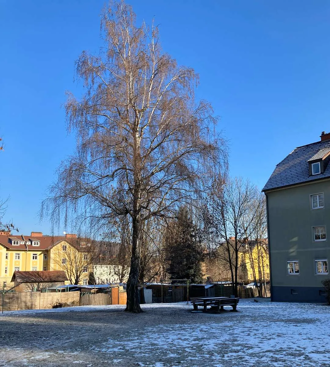Neu sanierte 2-Zimmer-Wohnung in ruhiger Lage - Leoben/Donawitz - Ansicht 2