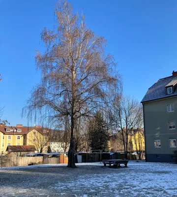 2-Zimmer-Wohnung mieten in Leoben – 36,62 m², € 277 – Bild 2 von 8
