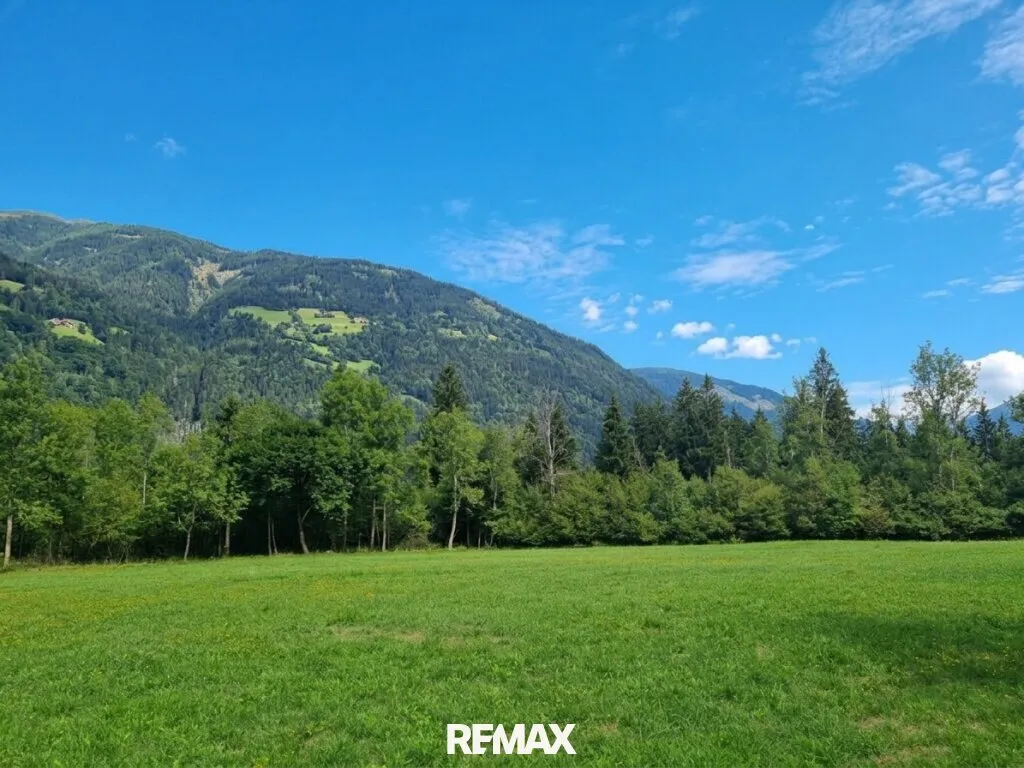 Schöne Grünlandfläche in der Gemeinde Kleblach/Lind - Ansicht 3