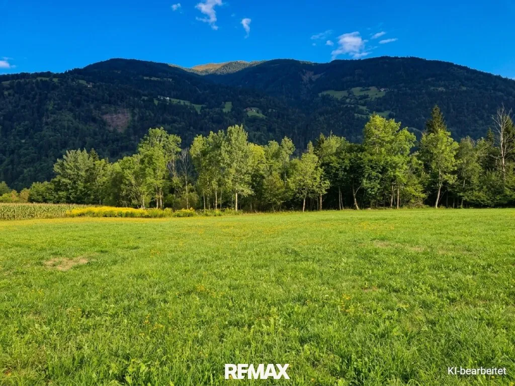 Schöne Grünlandfläche in der Gemeinde Kleblach/Lind - Ansicht 2