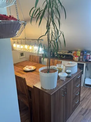 3-Zimmer-Wohnung mieten in Baden – 64 m², € 962 – Bild 5 von 14
