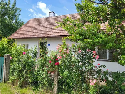 2-Zimmer-Haus kaufen in Sankt Pölten Land – 52 m², € 199.000 – Bild 4 von 16