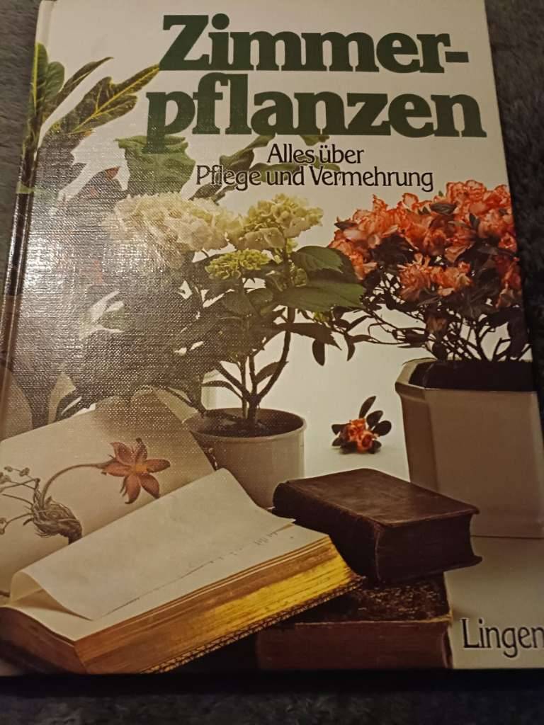 Zimmerpflanzen,  10,- (8410 Weitendorf) - willhaben