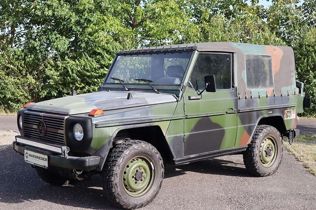 Mercedes-Benz G-Klasse G 250 WOLF "Der Bezwinger jedes Terrains!" SUV / Geländewagen