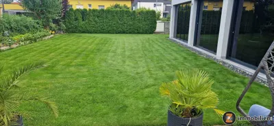 7-Zimmer-Gewerbeimmobilie kaufen in Wiener Neustadt Land – 244,33 m² – Bild 33 von 41